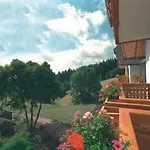 Hotel Schoene Aussicht 4*