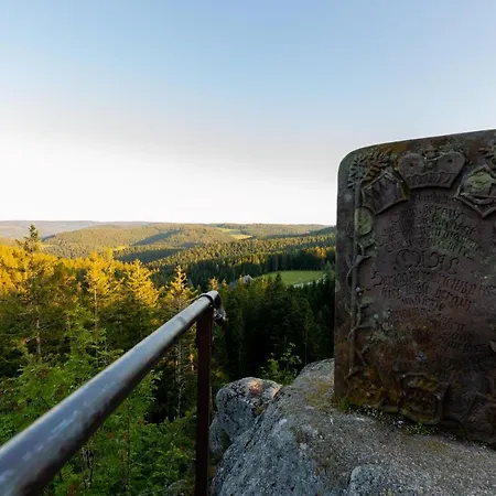 Schoene Aussicht Schwarzwald Hornberg