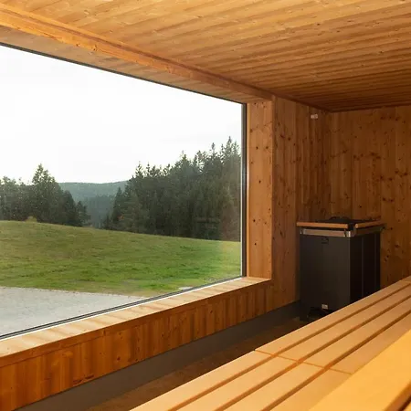 Schoene Aussicht 4* Hornberg