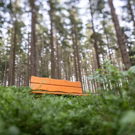 Schoene Aussicht Hotel Hornberg