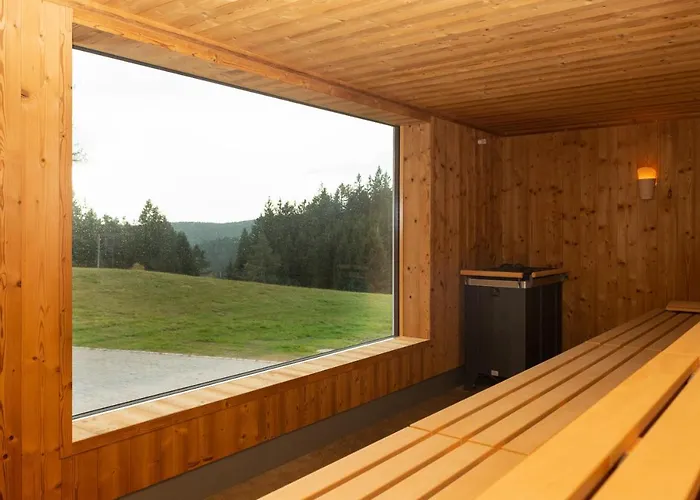 Schoene Aussicht 4* Hornberg