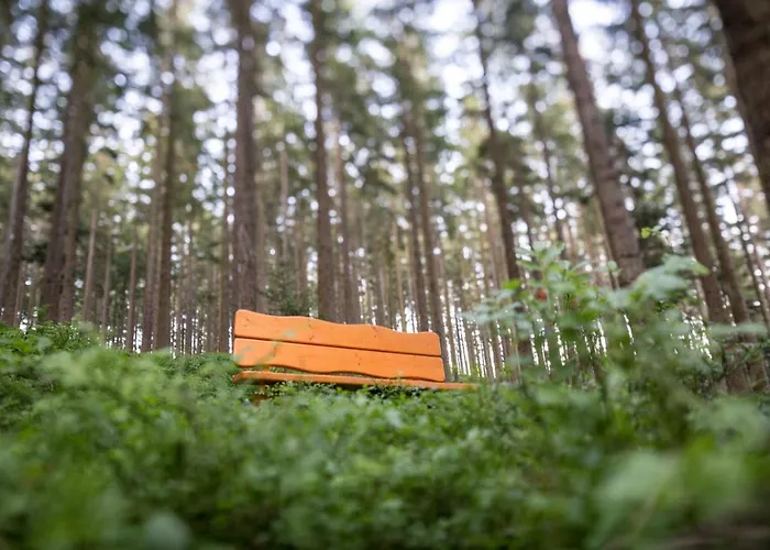 Schoene Aussicht Hotel Hornberg