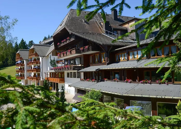 Hotel Schoene Aussicht Hornberg