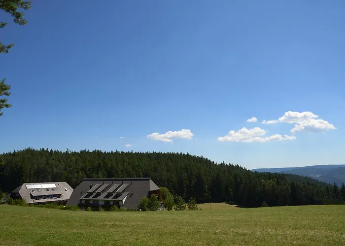 Hotel Schoene Aussicht 4*